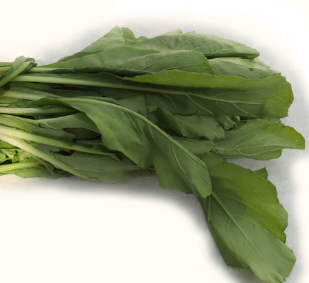 Bunch of green lettuce. With white background