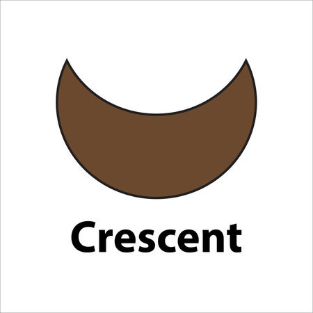 Crescent geometric shape. brown color vector