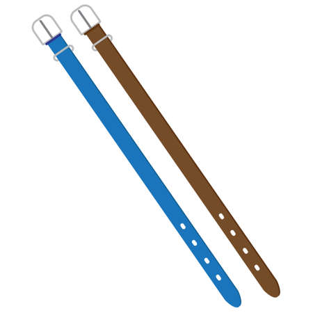 two belts blue and brown color. on white background. men fashion beltsのイラスト素材