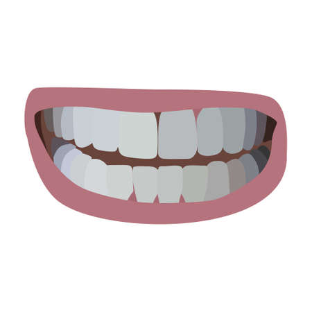 human mouth and teeth vector flat illustration. on white backgroundのイラスト素材