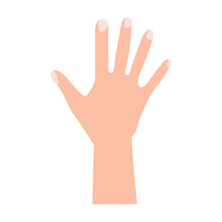open hand. vector illustration. on white backgroundのイラスト素材