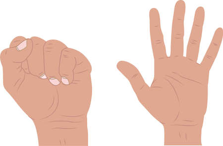 Thumb extension. Hand sequence from fist to open in two drawings. on white backgroundのイラスト素材