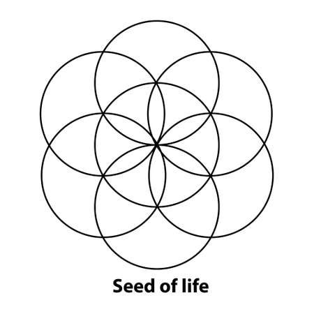 Flower of Life, Seed and Egg of Life, development. Geometrical figures, spiritual symbols and sacred geometry. Circles forming symmetrical flower-like patterns. Illustration over white. Vector.のイラスト素材