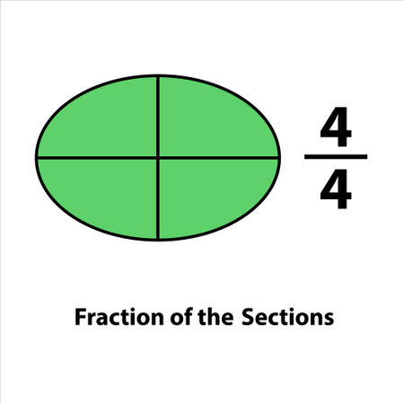 Fraction of the divided into slices. Fractions for Vector flat outline icon. isolated on white background. illustration. Fractions of the shapes 4 by 4 vector imagesのイラスト素材