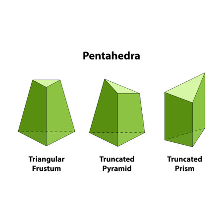Pentahedron. triangular pyramid, truncated pyramid, truncated prism, geometric shapes. on white backgroundのイラスト素材