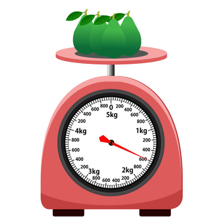 Analog scale. weight scale. isolated on white background. simple kitchen scale. vector illustration. measuring Analog scale clip art.のイラスト素材