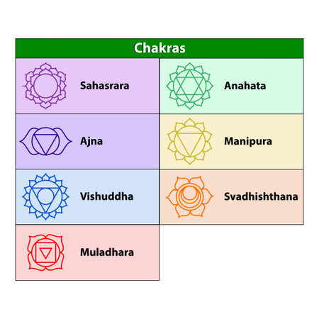 The Seven Chakras. Solid character illustration of Hinduism and Buddhism. Color yoga chakra icons isolated on white. For design, associated with yoga. Root, sacral, solar plexus, heart, throat, thirdのイラスト素材