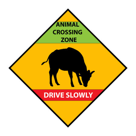 Yellow road sign: Cow Crossing Zone. warning signal. Drive slowly for animal safety. Common on roads. Vector illustration on white background. Safe driving tips and traffic regulation rules. Cattle.のイラスト素材