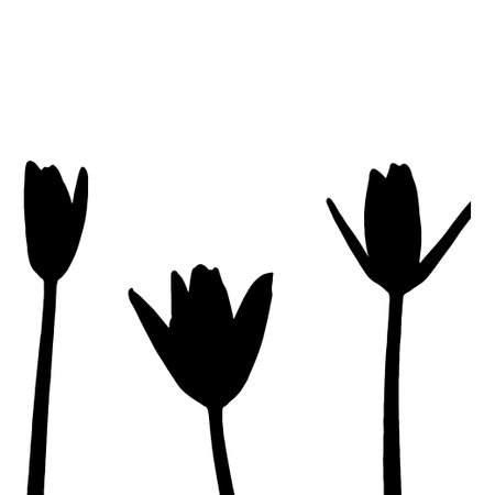 lotus silhouette. black color vector illustration. on white backgroundのイラスト素材
