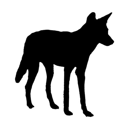 fox silhouette. fox black color filled. vector. isolated on white backgroundのイラスト素材