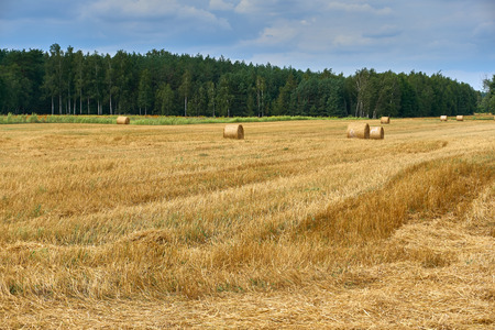 Stacks of straw and hay on the wheat field in Poland, late summerの写真素材