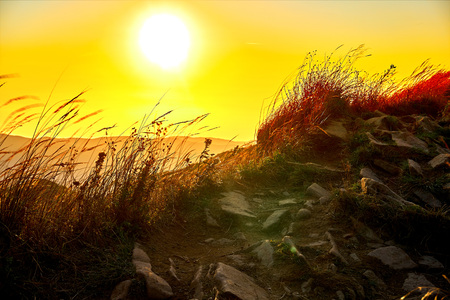 Sunset. Beautiful panoramic view of the Bieszczady Mountains in the early autumn, Bieszczady National Park, Poland.の写真素材