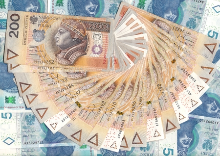 Polish zlotys - Polish currency, 200 and 50 PLN bills (banknotes face value PLN 200 and 50) - carpet from moneyの写真素材