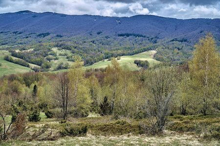 A beautiful panoramic mysterious view of the forest in the Bieszczady mountains (Poland) on a misty rainy spring May day, nature is lonely - without peopleの写真素材