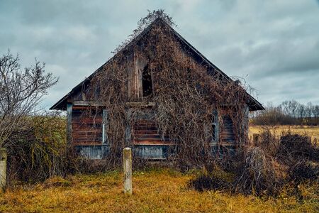 A terrible mysterious apocalyptic view: an abandoned house in the abandoned Belarusian Kovali (Belarusian: blacksmiths) village - no one lives here anymoreの写真素材