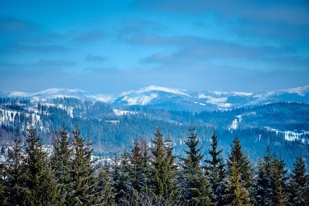 Beautiful winter mountain landscape in the south of Poland - the sun, a lot of snow, blue sky and old forestの写真素材