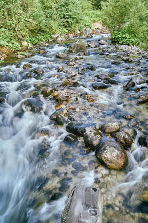Mountain stream in High Tatras National Park, Slovakia, Europe, EU. Beautiful world.の写真素材