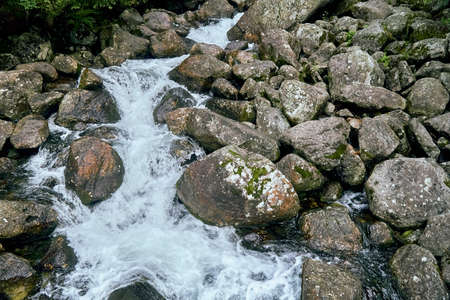 Mountain stream in High Tatras National Park, Slovakia, Europe, EU. Beautiful world.の写真素材