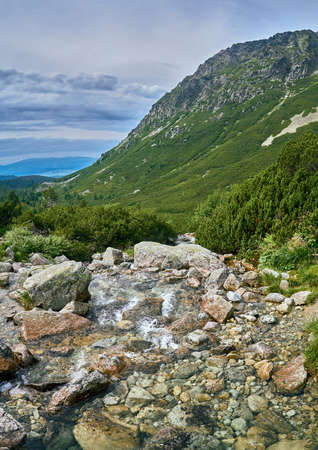 Mountain stream in High Tatras National Park, Slovakia, Europe, EU. Beautiful world.の写真素材