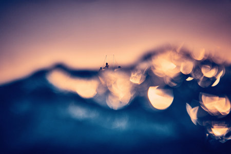 The beauty of the underwater world - divers come out of the water after a long dive - split photo -...
