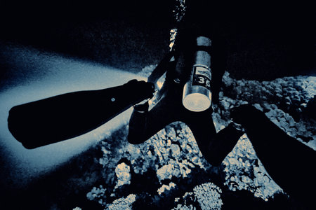 The beauty of the underwater world - a mysterious sight during a night dive with flashlights - scuba diving in the Red Sea, Egypt.の写真素材