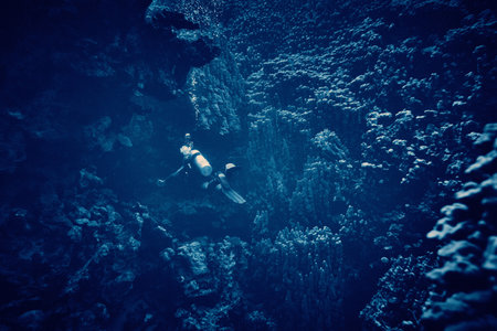 The beauty of the underwater world - scuba diving in the Red Sea, Egypt.の写真素材
