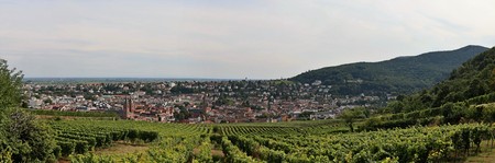 Neustadt an der Weinstrasse, Rhineland-Palatinate, Germanyの写真素材