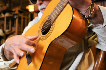 Musician playing the guitar