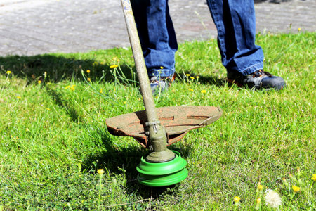 Cutting and trimming the lawn