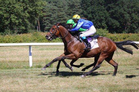 Horse race (Gallop), Hassloch, Germany, July 01, 2018