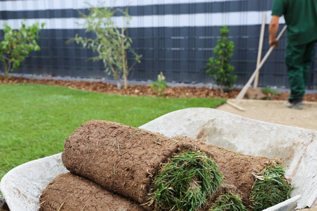 Gardener laying rolled turfの写真素材