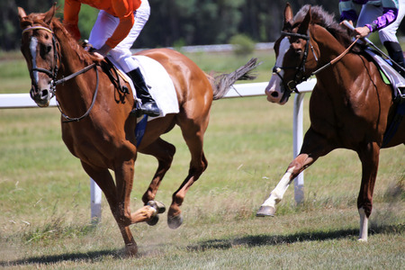 Horse race (Gallop)の写真素材