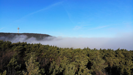 Palatinate forest panorama