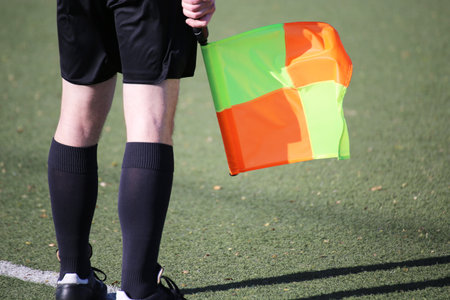 Soccer line referee (Linesman)