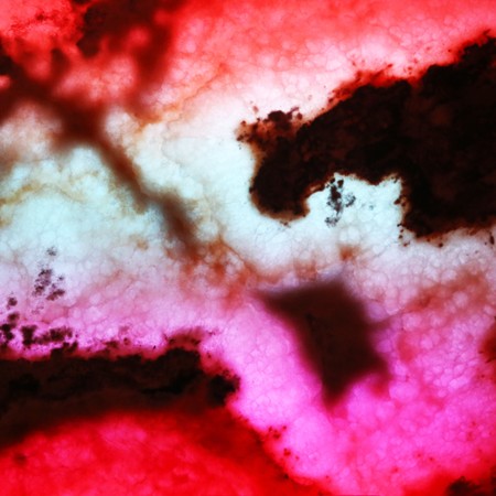 Illuminated onyx plate as backgroundの写真素材