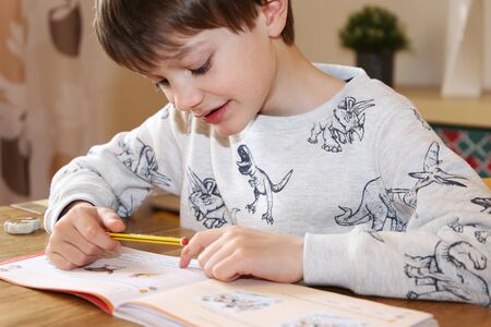 Primary school child at home schoolingの写真素材