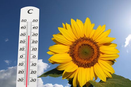 Symbol image: Thermometer in front of blue sky shows warm temperaturesの写真素材