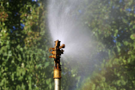 Irrigation of municipal green areasの写真素材