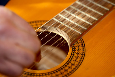 Musician playing the guitar (symbol image)