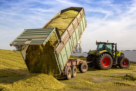 At the Alexanderhof biogas plant in Hochdorf-Assenheim, the freshly harvested silo maize is unloaded and rolled tightly to remove oxygen (Hochdorf-Assenheim, Germany, September 22, 2021)のeditorial素材
