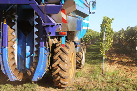 Vintage or grape harvest with harvesterの写真素材
