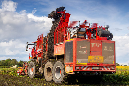 Sugar beet harvest in the Palatinate, Germany (Ludwigshafen, Germany, September 27, 2021)