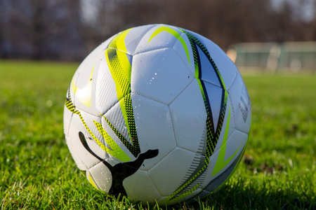 Symbol image: Football on an empty football field (Ludwigshafen Germany, January 10, 2022)のeditorial素材