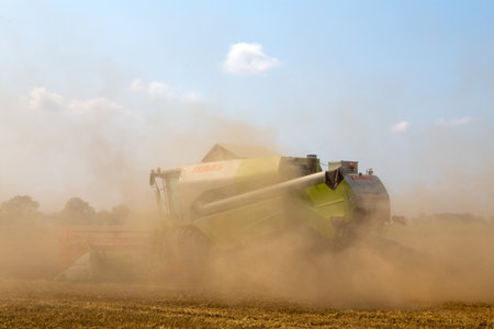 Grain harvest near Hockenheim, Baden-Wuerttemberg, Germany (July 20, 2021)のeditorial素材