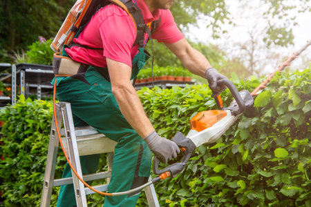 Gardener cutting hedges with hedge trimmerの写真素材