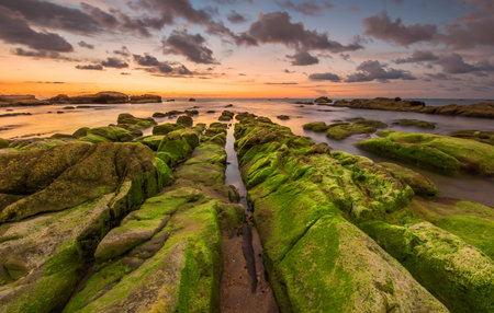 stunning sunset with super green moss and leading line