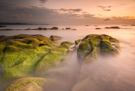 green moss on the rock while waves hitの写真素材