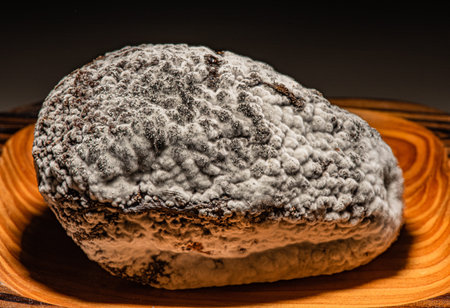 The avocado was rotten with mold until the color changes to brown and black.