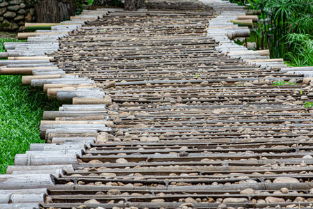 The sun shines on the stone pathway on the bamboo in the garden.