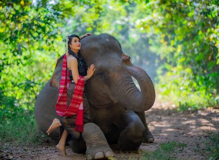 Beautiful thai women wearing traditional thai clothes standing on an elephant in nature park thailand, woman concept.の写真素材